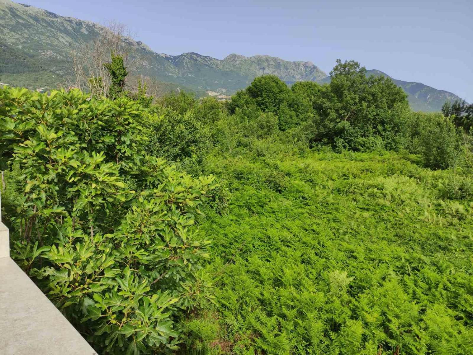 Green Valley โกตอร์ ภายนอก รูปภาพ