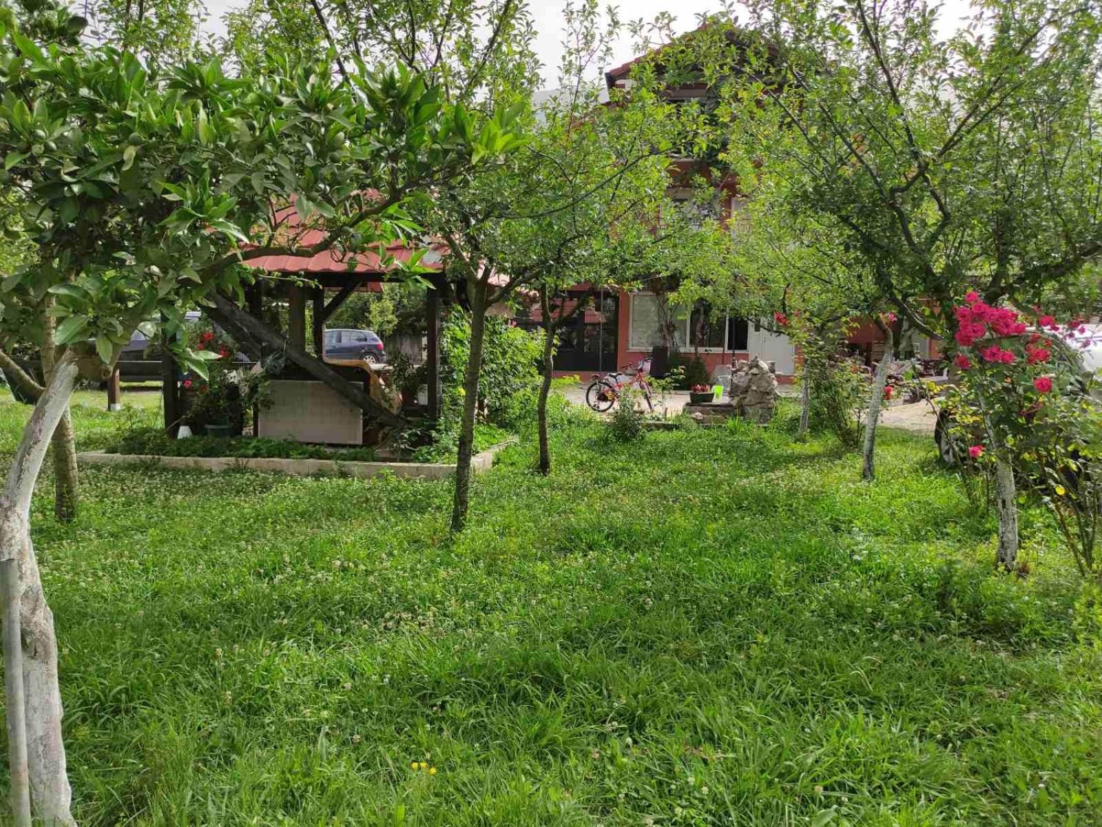 Green Valley โกตอร์ ภายนอก รูปภาพ